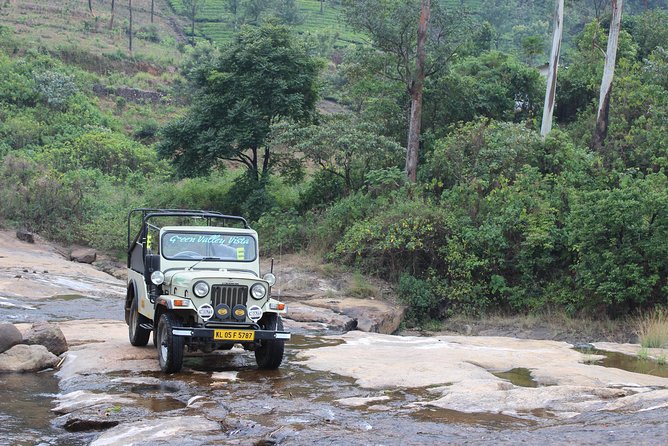 Anakulam Wild Elephant Village life tour ( By Munnar Info) - What the $70 private jeep tour really gives you