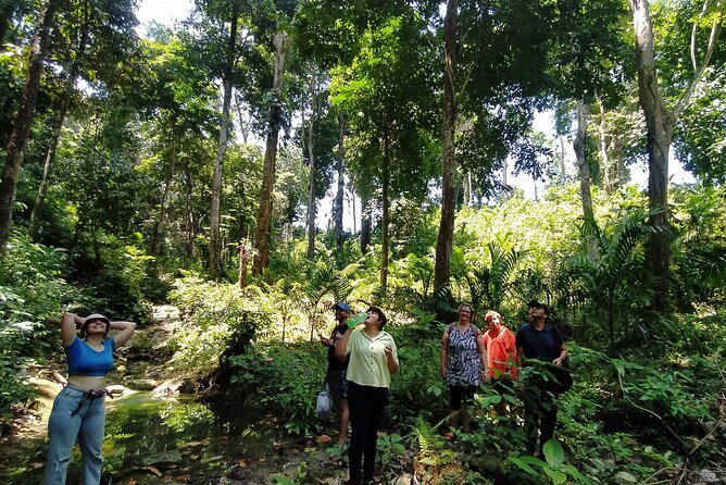 Ancient Lava Stream Trek through dense Tropical forest. - Starting at Govind Nagar at 1 p.m.