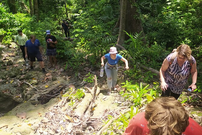 Ancient Lava Stream Trek through dense Tropical forest. - What the $33.56 Price Includes