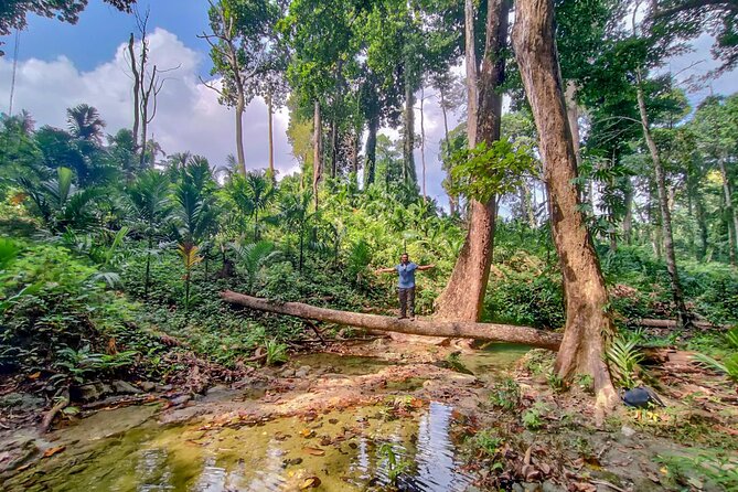 Ancient Lava Stream Trek through dense Tropical forest. - Through the Coastal Forest