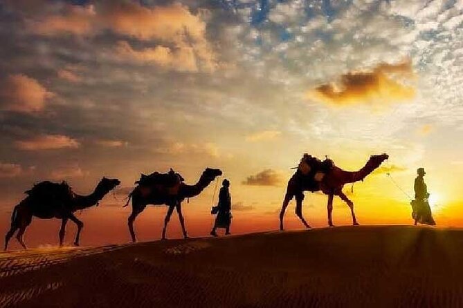 Arabian Night with Cultural Show - A 90-minute camel ride across the dunes