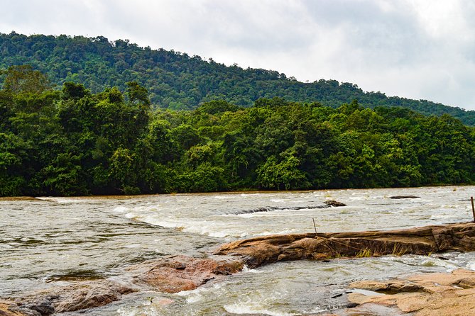 Athirappilly Falls & Cherai Beach Bliss - Day Escape from Kochi - Why this Kochi day trip works
