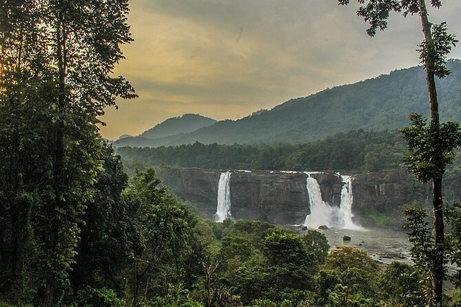 Athirappilly & Vazhachal Waterfalls Private Day Tour from Kochi - Lunch at a four-star resort