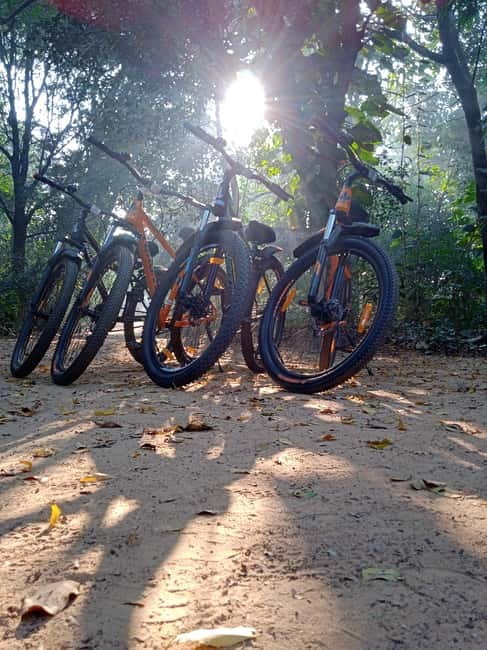 Auroville: Nature Trail Forest Cycling Adventure - Quick points before you book