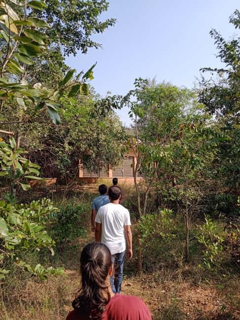 Auroville: Nature Trail Forest Cycling Adventure - Starting at the blue shed near Poothurai Road