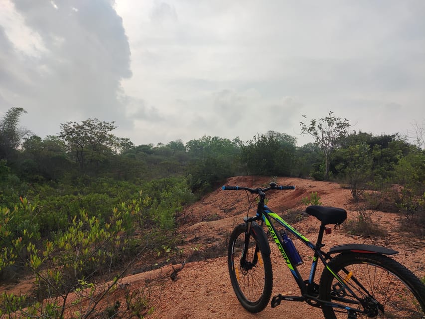 Auroville: Nature Trail Forest Cycling Adventure - What the $14 price really buys you