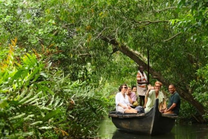 Backwater Tour from Cochin - The three-hour covered boat cruise