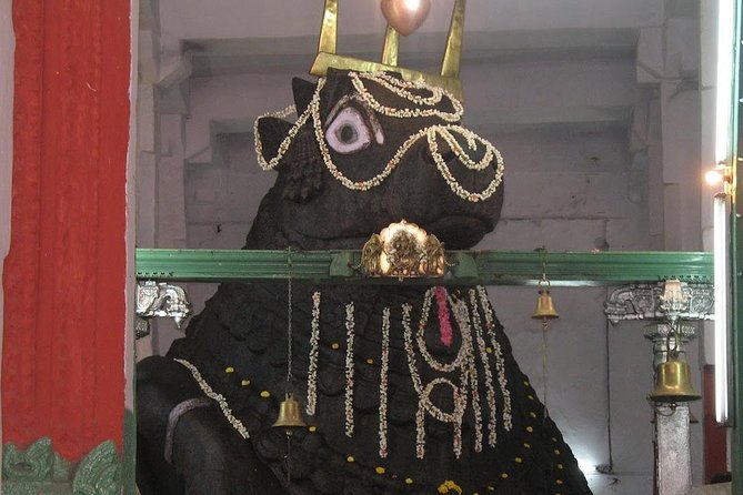 Bangalore city tour with English guide & multi language support - English guidance and multilingual support