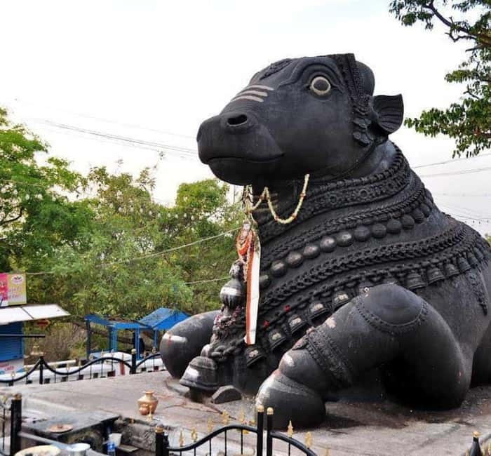 Bangalore: Full-Day Guided City Tour w/ Pickup - Tipu Sultan’s Summer Palace and the teak details