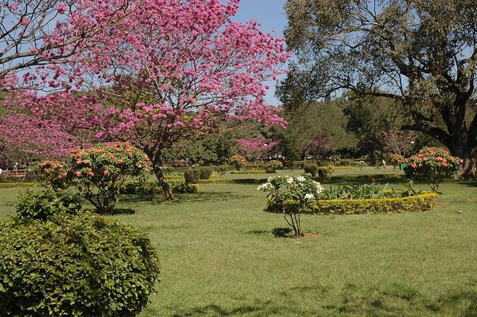 Bangalore Heritage and Cultural Walking Tour - Key points to know before you book
