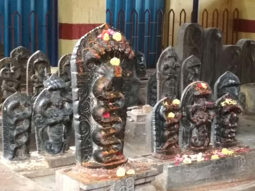 Bangalore: Private Half-Day Sightseeing Tour - Lal Bagh: the tour’s best chance to slow down