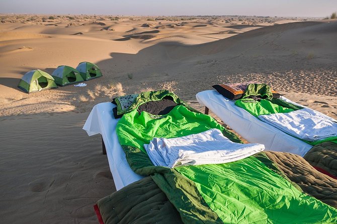 Become a Desert Nomad – Overnight Camel Safari in the Wild - Choosing between a dome tent and the stars