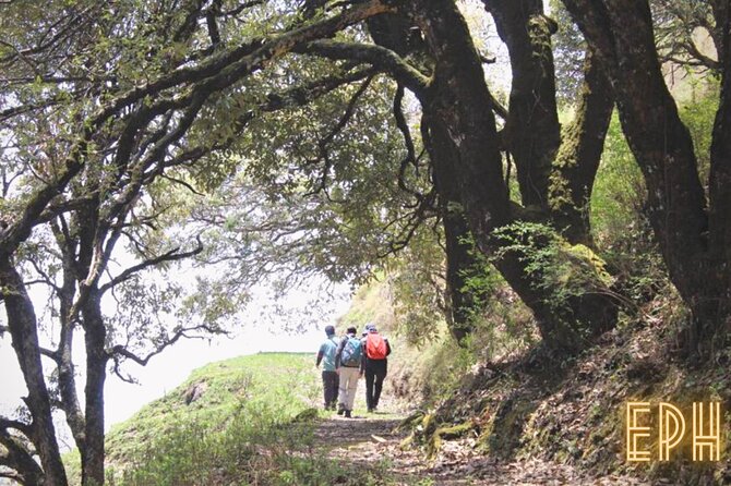 Benog Tibba Day Hike - Mussoorie - Reaching Jwala Devi Temple on the shorter route