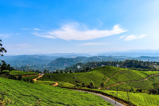 Best of Kerala Tour (Exclusive Private tour) - Kochi arrival and the spice market