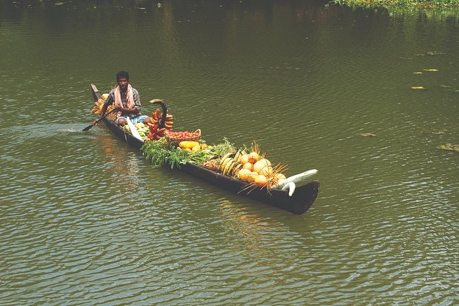 Best of Kerala Tour Package 7 nights / 8 days by Sanguine Holidays - Day 1: Kochi’s palaces, synagogue, and fishing nets