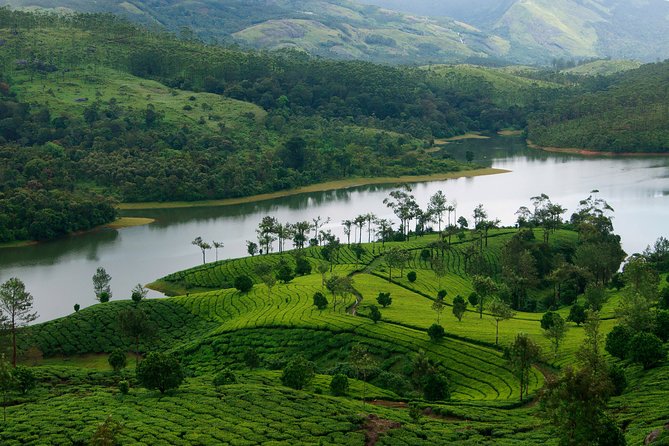 Best of Kerala Tour Package 7 nights / 8 days by Sanguine Holidays - Day 2: The road toward Munnar and its waterfalls