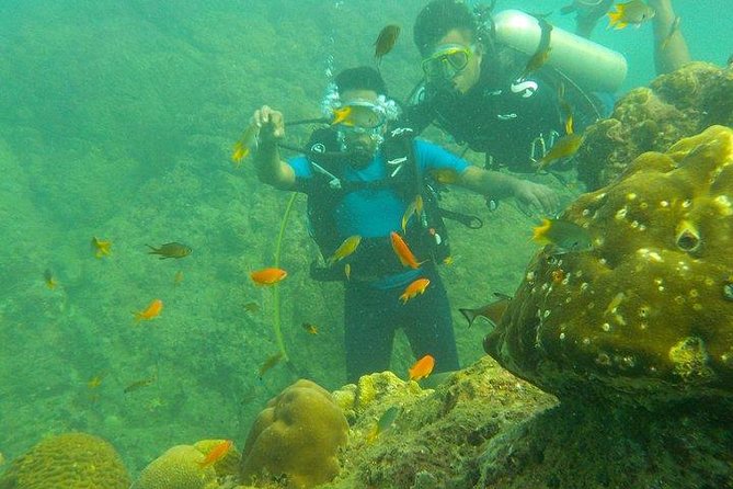 Boat Scuba Diving at Neil Island - Starting at Bharatpur Beach