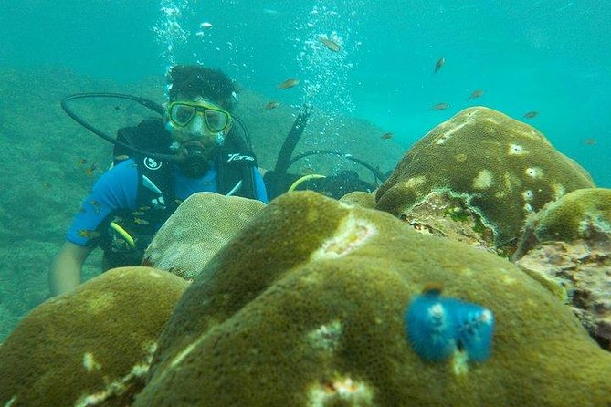 Boat Scuba Diving at Neil Island - The safety briefing is more important than the reef