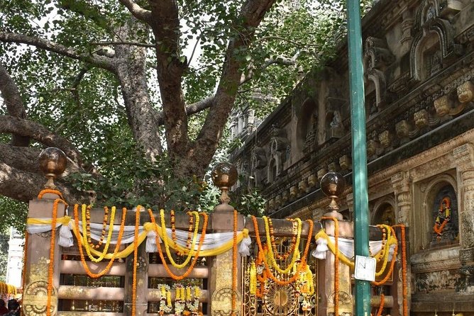 Bodhgaya Day Tour (Hotel Pickup) - Sujata Kuti connects the story to the wider area