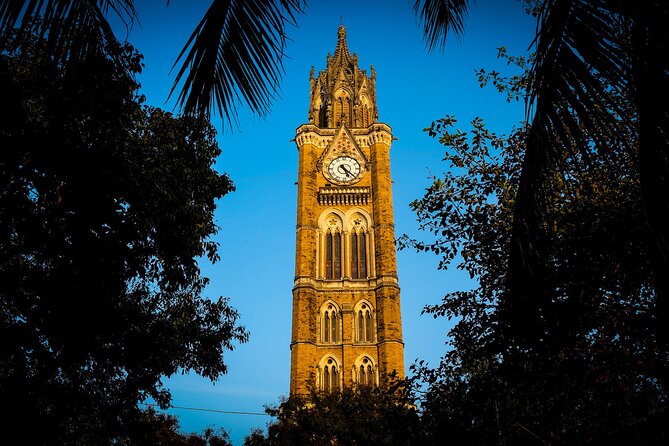 Bombay Fort Heritage Walking Tour - What the guide adds to the walk