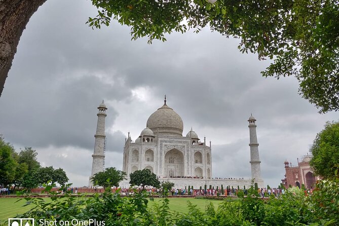 Book Govt Approved Guide for Taj Mahal & Agra fort - Should You Book the Taj Mahal and Agra Fort Guide?