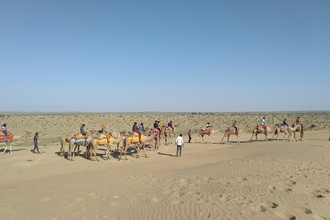 Camel Safari - Meeting the camels at the village