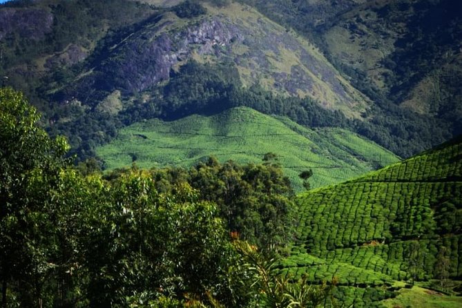 Camping Suriyaneli/Munnar Kerala - The 4:30 AM Jeep Ride to Kolukkumalai