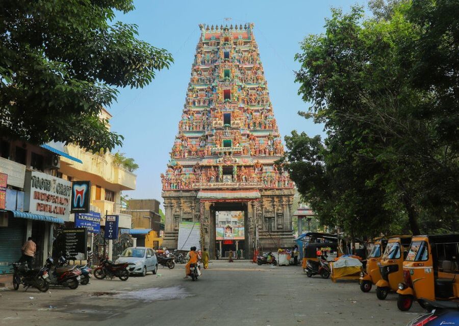 Chennai Walking Tour ( 2 hours guided tour) - Coffee, conversation, and Marina Beach