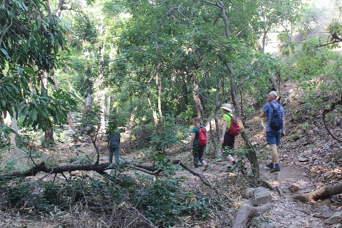 Chinnar wild valley experience day tour ( By Munnar Info) - Rajamalai and Eravikulam National Park