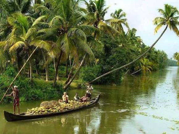Cochin : Alleppey/Alappuzha Backwater Canoe (Shikara) Cruise - Key points to know before you go