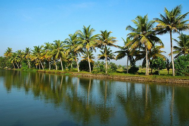 Cochin : Alleppey/Alappuzha Backwater Canoe (Shikara) Cruise - Boarding the shikara in Alappuzha