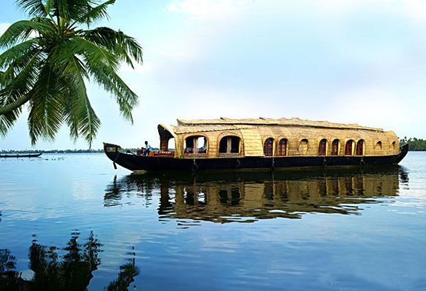 Cochin: Alleppey Backwater Private Day Cruise by Houseboat - What you see during the 2.5-hour cruise