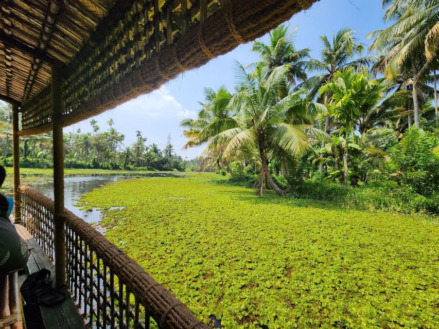 Cochin: Backwater Village Eco Boat Cruise with Lunch - A quiet route through canals and village country