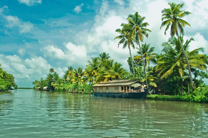 Cochin City or Backwater Shore Excursions from Cruise Terminal - Why the backwaters make this shore trip worthwhile