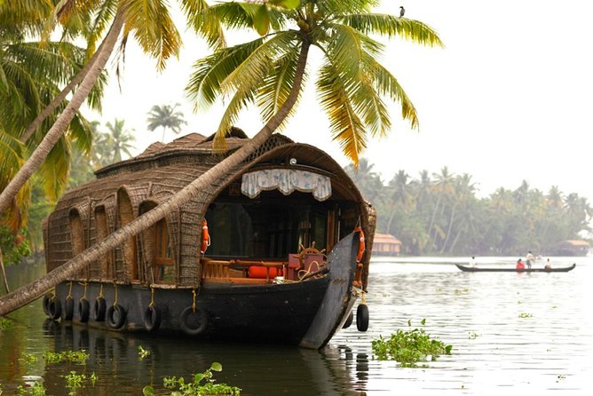 Cochin City or Backwater Shore Excursions from Cruise Terminal - Choosing between a houseboat and a canoe
