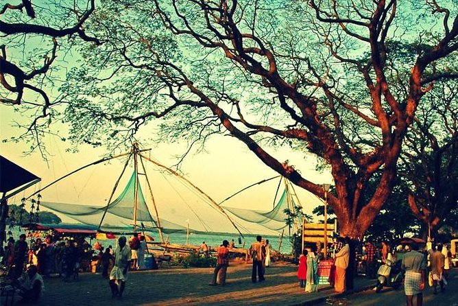 Cochin City or Backwater Shore Excursions from Cruise Terminal - The long ride from Kochi port to Alleppey