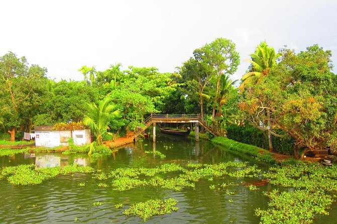 Cochin Shore Excursions from Cruise Terminal - Alleppey’s backwaters from a houseboat