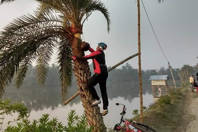 Cycle the Kolkata Wetlands and Amazing Views - Ponds, rivers, and coconut trees