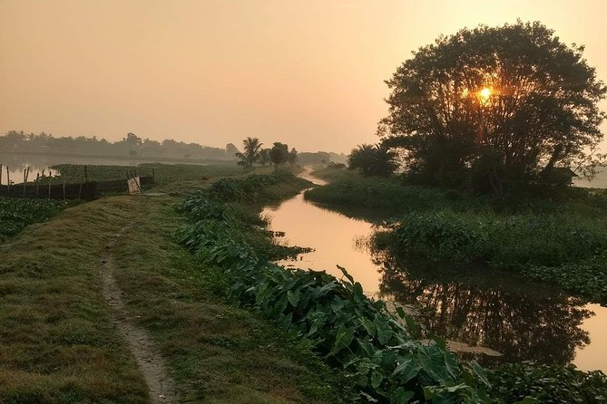 Cycle the Kolkata Wetlands and Amazing Views - The main drawbacks to weigh