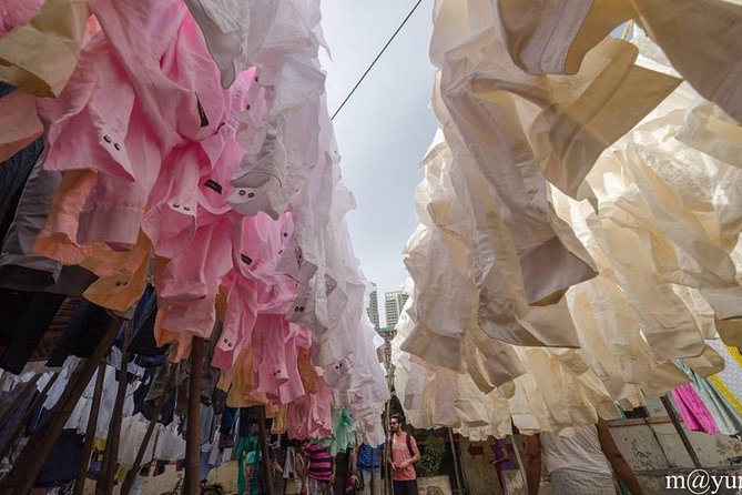Dabbawala, Dhobi Ghat & Dharavi slum Tour with Local Train Ride - Is $35.79 good value?