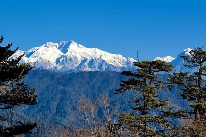 Darjeeling Tonglu Day Trek - Key points at a glance