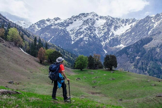 Dayara Bugyal and Surya Top Trek - Guides, food, and the human side of the trip