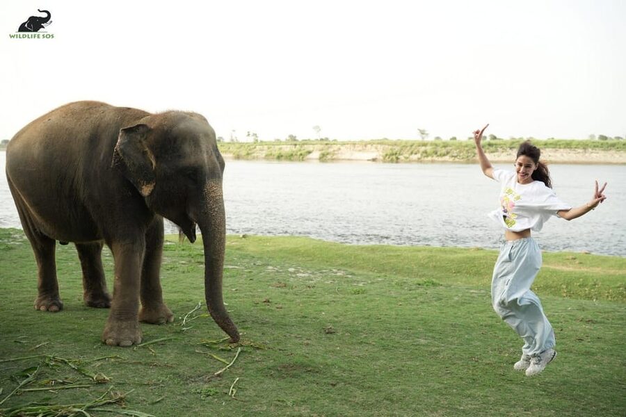 Delhi: All-Inclusive Day trip Taj Mahal with Elephant SOS - What the guide and driver add