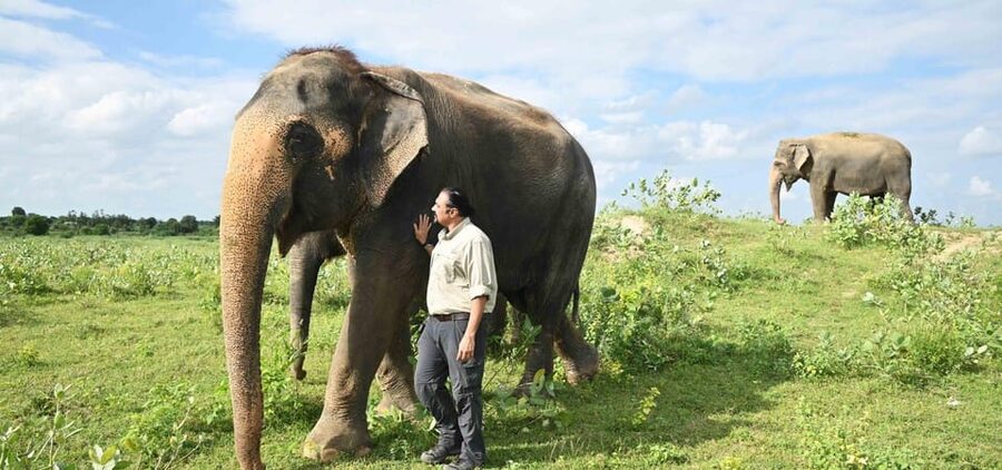 Delhi: All-Inclusive Day trip Taj Mahal with Elephant SOS - Is $21 a good value?