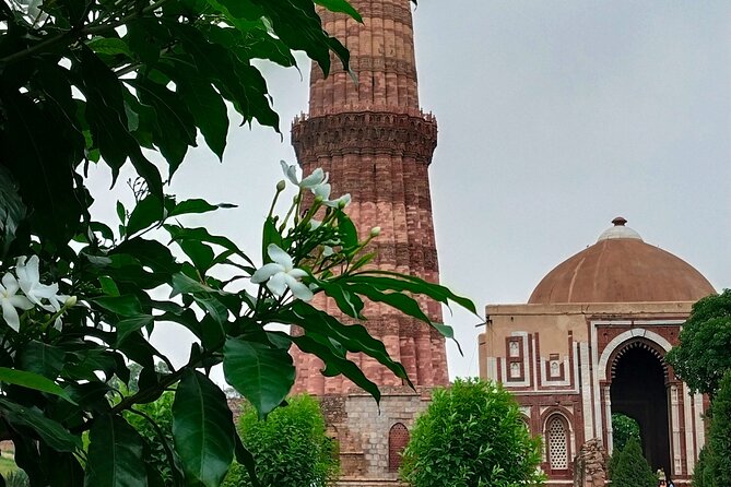 Delhi's historical 7 hours experience tour - Jama Masjid and the first look at Mughal Delhi