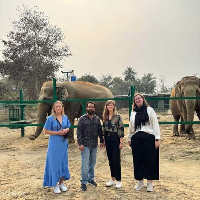 Delhi: Sunrise Taj Mahal & Elephant SOS Tour with Transfers - Is the Delhi to Agra drive worth the early alarm?