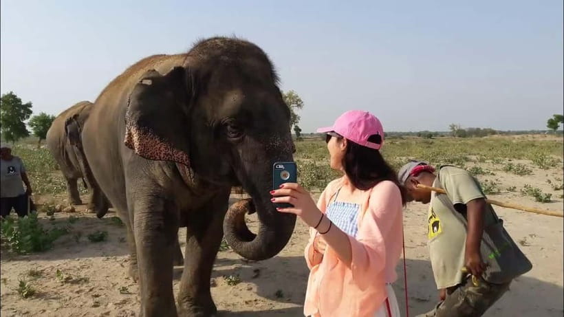 Delhi: Sunrise Taj Mahal & Elephant SOS Tour with Transfers - Mughlai lunch in a five-star setting