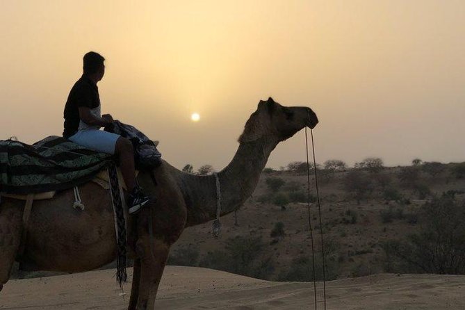 Desert Camel Safari Day Tour In Jodhpur - The Osian Camel Safari
