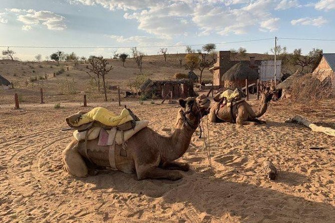 Desert Camel Safari Day Tour In Jodhpur - Dinner and Folk Dance With a Local Touch