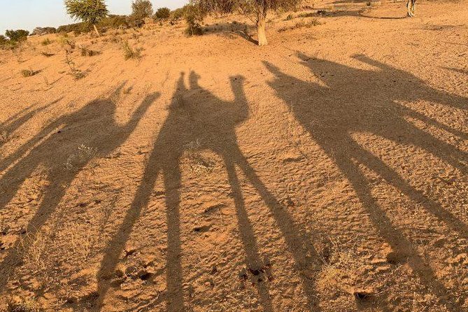 Desert Camel Safari Day Tour In Jodhpur - Sachiya Mata Temple and Its One-Hour Visit
